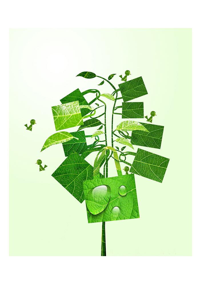 一花一世界，一個環(huán)保袋一抹綠